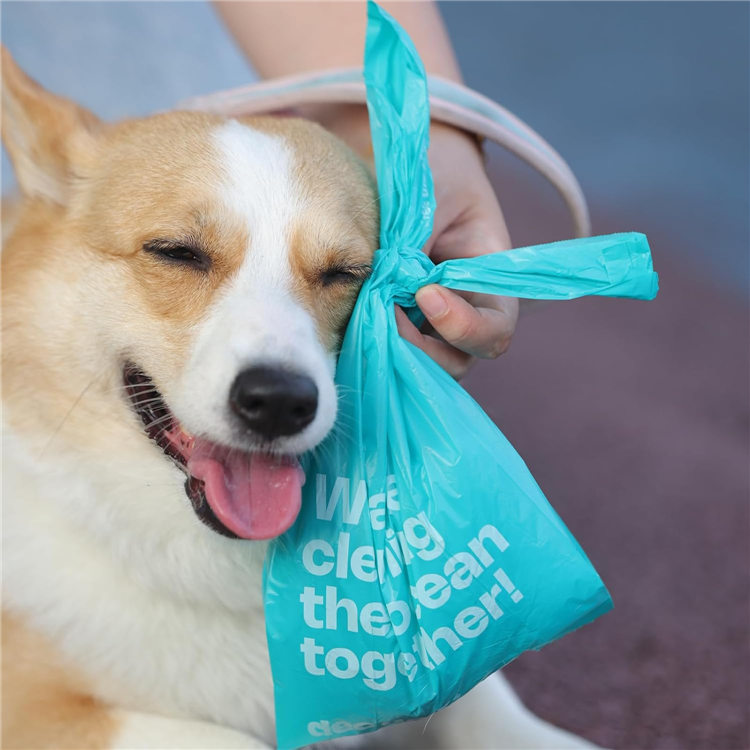 dog poop bag with handle0.jpg